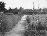 George Eastman's vegetable garden