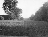 George Eastman's vegetable garden