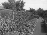 George Eastman's vegetable garden