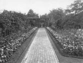 George Eastman's vegetable garden
