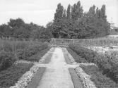 George Eastman's vegetable garden