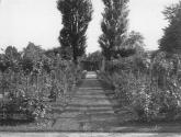 George Eastman's vegetable garden