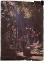 [Big Tree Grove (with lanterns)]