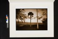 #120 Eustis, Florida