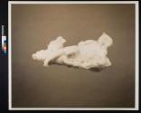 Reclining Girl and Dog Cloud
