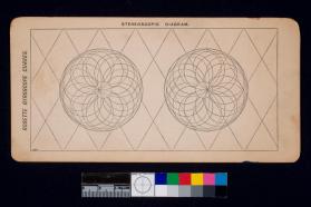Algebraic Gyrostat Curves