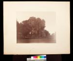 Scene on the Teche. Southern Pacific Company.