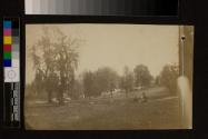 [Two men in landscape with trees]