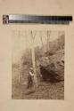 [Man carving in tree in woods.]
