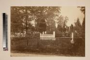 The Burial Ground of the McAllister family in the Woodlands.
