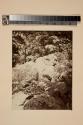 [Artists sketching from nature in the Delaware Water Gap Region.]
