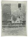 [Emily Sibley Watson and her brother Hiram W. Sibley at Temple of Poseidon at Paestum, Athens]