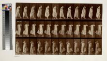 Walking, left hand holding dress, right hand at face