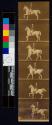 [Man on white horse]