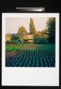 Allotments