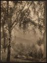 Rodin's Garden