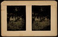 [Group at garden party]