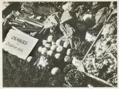 Food In England: In the distribution of certain foods, such as oranges, British children and invalids receive priority. Through this plan various foods are allocated to those who need them most to maintain good health.