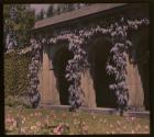 [Eastman House Gardens]