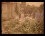 Allings Deforest