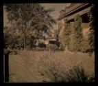 Garden Eastman