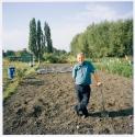Allotments