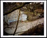 Through the Trees, Evanston, Illinois