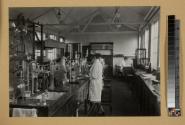 Women in new laboratory at Harrow