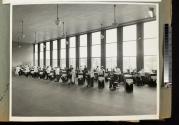Group of Dentists