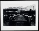 Wheel Yard