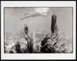[Untitled]