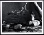 [Untitled]