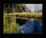 [Untitled]