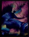 [Untitled]
