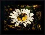 [Untitled]