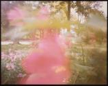 [Untitled]