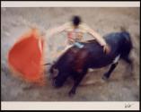 [Untitled]