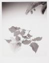 [Untitled]