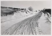 Winter Road