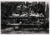 [Untitled]