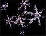 Rochester Snowflakes