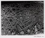 [Untitled]