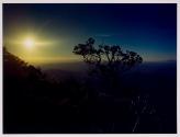[Untitled]
