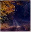 Road to Winter