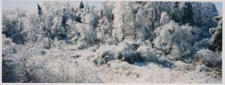 [Untitled]
