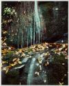 Running water, Roaring Fork Road, Gt. Smoky Mts.