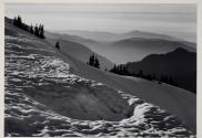 From Hurricane Hill, Olympic National Park, Washington