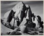 In Joshua Tree National Monument, California