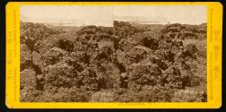 The Lava Beds No. 6