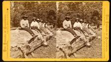 A Log of Bucks